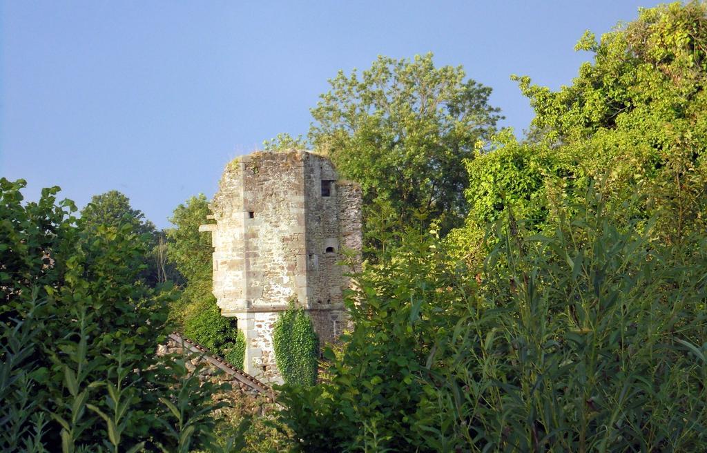 Bed and Breakfast Chateau De La Chasse-Guerre Hardanges Exteriér fotografie